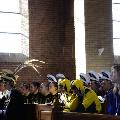 carnavalsmis 2011 23