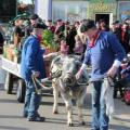 Boerenbruiloft - 010