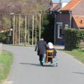Boerenbruiloft - 352