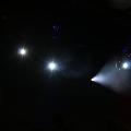 Gala-avond - 303