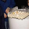 boerenbruiloft 163