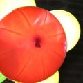 Jeugdprins-receptie - 001