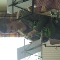 SAM_3014