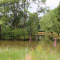2016-07-17 Buurtconcert - 011