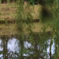 2016-07-17 Buurtconcert - 036