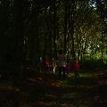 DSC09096