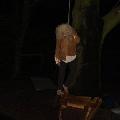 DSC02456