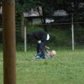 DSCN0785