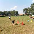 SAM_0823
