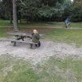 DSCN0949