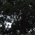 DSCN0987