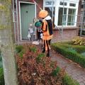 IMG_20201122_114936_5