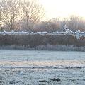 foto dorpsraad de raam 112