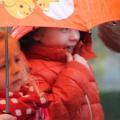 Intocht Sint Nicolaas - 011