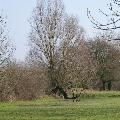 PICT0038