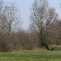 PICT0039