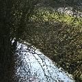 PICT0040