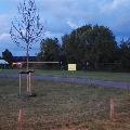 IMG-20170621-WA0006