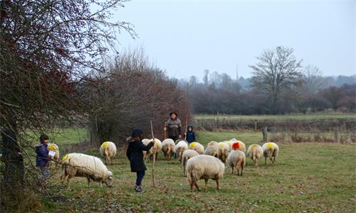 Herdertjesdag